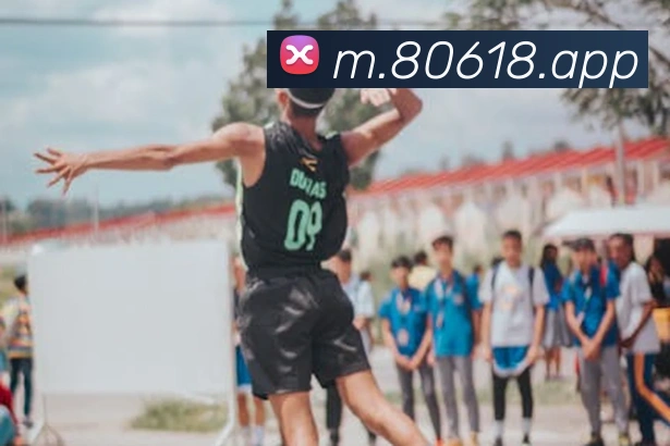 对战数据统计